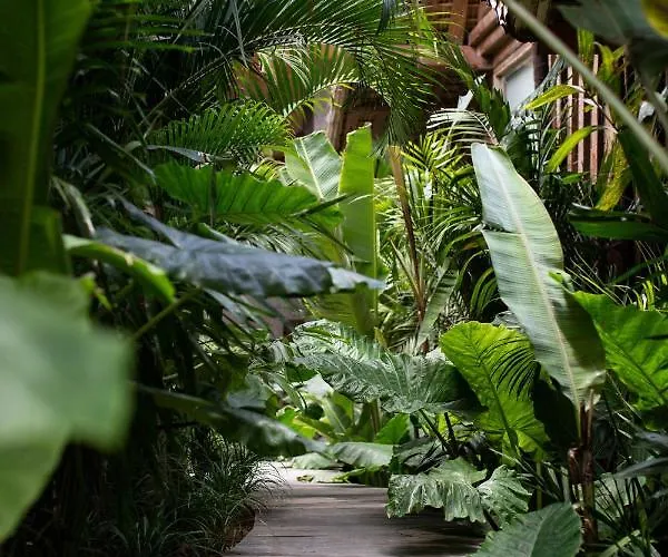 Hotel The Asa Maia - Bespoke Wellness (adults Only) Uluwatu